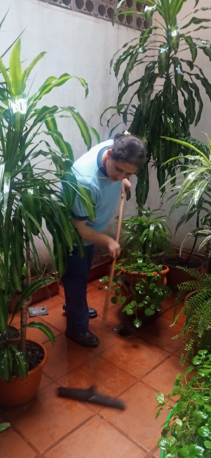 Mantenimiento de espacios verdes y patios